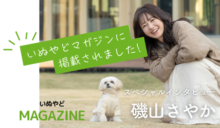いぬやどマガジン